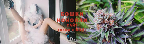 ГАЛЛЮЦИНОГЕННЫЕ ГРИБЫ Пересвет