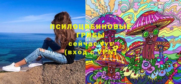 ГАЛЛЮЦИНОГЕННЫЕ ГРИБЫ Арсеньев